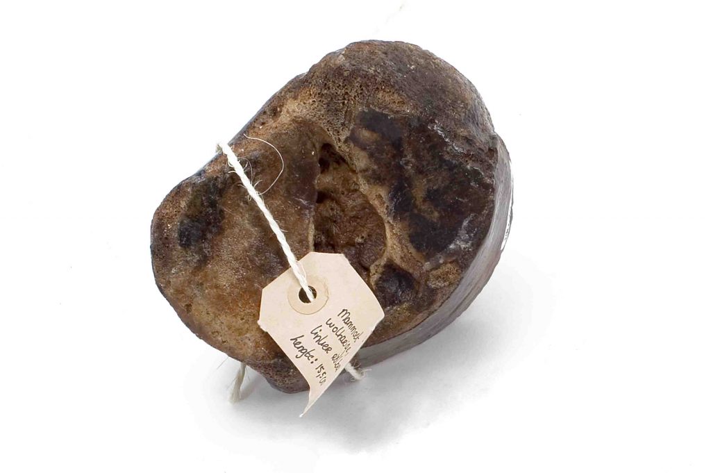 2295a