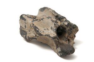 5733